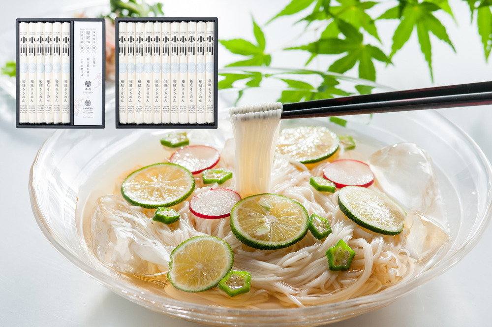 小川の稲庭そうめん　VST-30・VS-40セット【(株)稲庭うどん小川】[H0504]