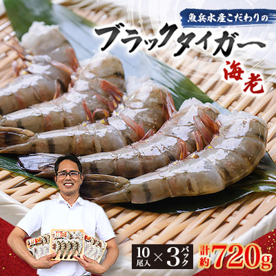 魚兵水産こだわりのブラックタイガー海老　 10尾3パック(計720g程度)【配送不可地域：離島】【1215913】