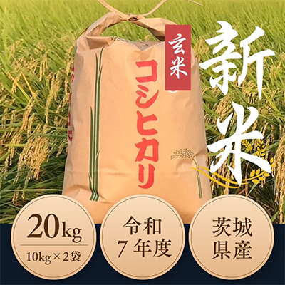 令和7年度　ひたちなか市産コシヒカリ玄米20kg(10kg×2袋)【1528798】