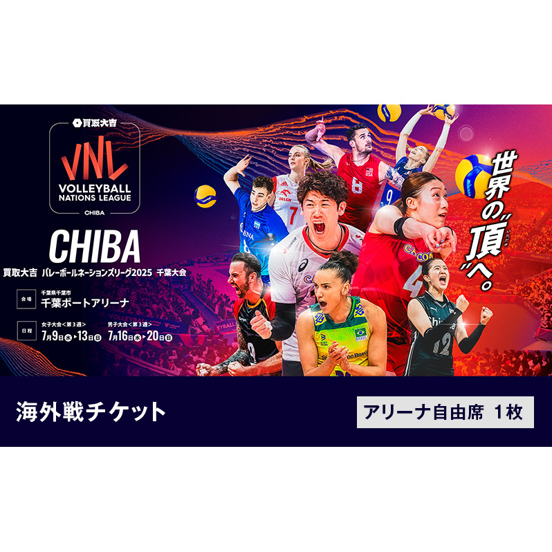 「買取大吉 バレーボールネーションズリーグ 2025 千葉大会」海外戦チケット:アリーナ自由席 1枚
