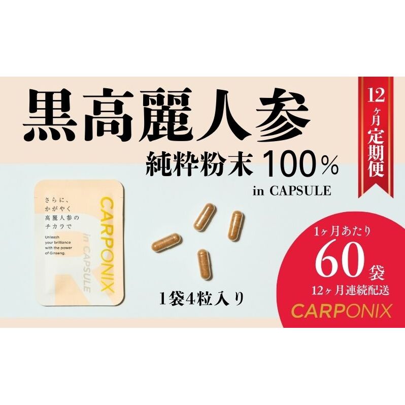 黒高麗人参「CARPONIX」4粒入り×60袋 【定期便 12ヶ月】 サプリメント サプリ 黒高麗人参 カプセル ジンセノサイド 千葉市
