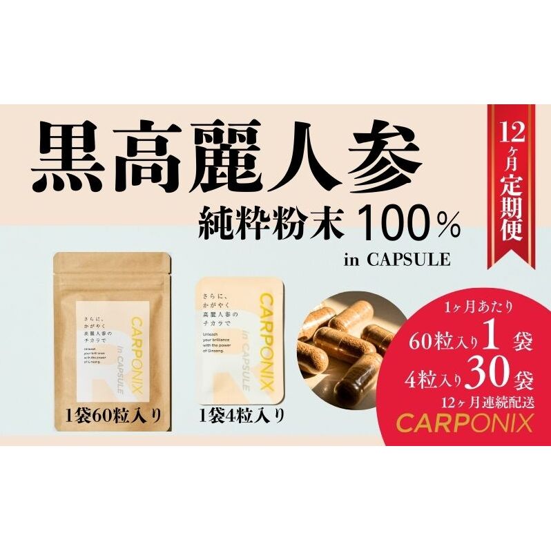 黒高麗人参「CARPONIX」　＜ご自宅用エコパック＞ 60粒入り×1袋　＜個包装＞ 4粒入り×30袋 【定期便 12ヶ月】 サプリメント サプリ 黒高麗人参 カプセル ジンセノサイド 千葉市