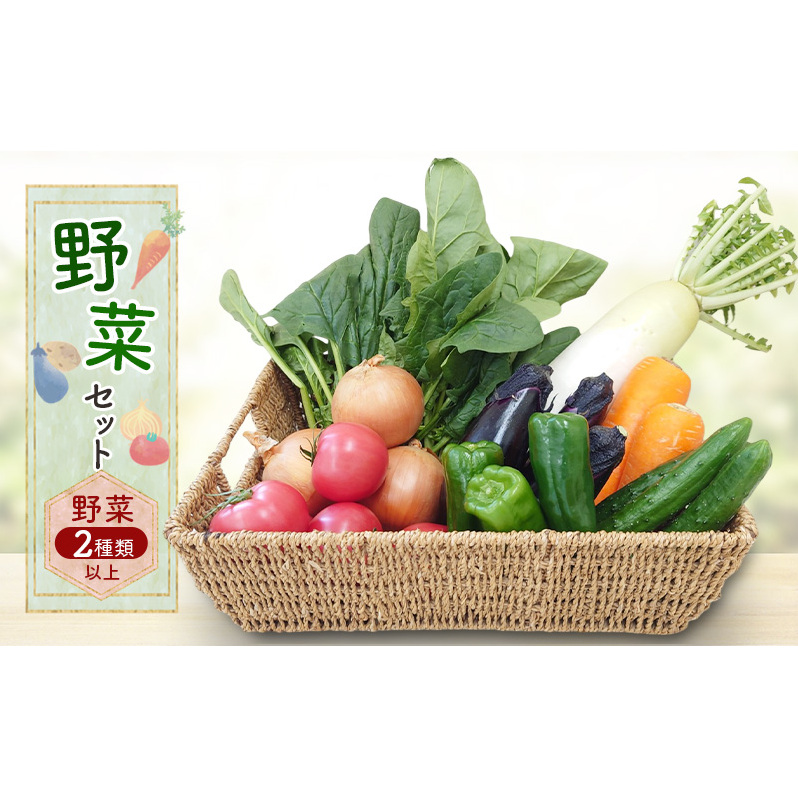 野菜セット 野菜2種類以上 野菜 季節の野菜 セット 産地直送 新鮮 野菜農家 季節 詰め合わせ 産直 国産 お楽しみ おまかせセット 千葉市