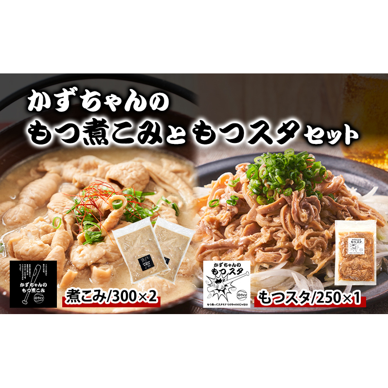 かずちゃんのもつ煮こみともつスタセット【300g×2袋,250g×1袋】惣菜 千葉県 千葉市 お取り寄せグルメ 球場グルメ 球場名物 おかず おつまみ 酒の肴 国産豚 ホルモン もつ 本格的