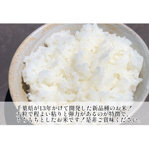 米 令和5年 新品種 粒すけ 5kg 千葉産 白米 【 お米 こめ コメ おこめ 】 | 千葉県千葉市 | JRE MALLふるさと納税