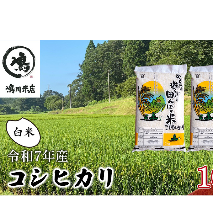 新米　令和7年 コシヒカリ　白米　10kg お米 精米 粘りつやつや 甘み 美味しい 新鮮 