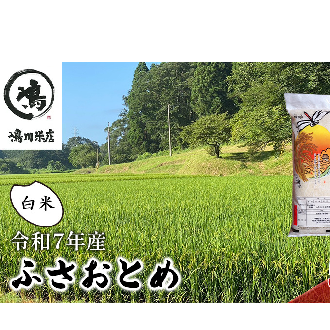 新米 令和7年 ふさおとめ 白米 5kg 【 お米 精米 大粒 粘り気 ファン 】 千葉県