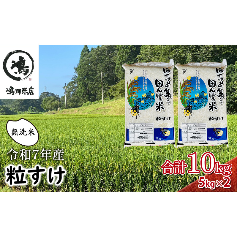 新米 令和7年 無洗米 粒すけ 10kg ( 5kg×2 ) 令和7年産 米 お米 精米 白米 単一原料米 ブランド米 早場米 こめ コメ おこめ ご飯 ごはん 10キロ 送料無料 お米マイスター 選定 千葉産 千葉 千葉県 千葉市