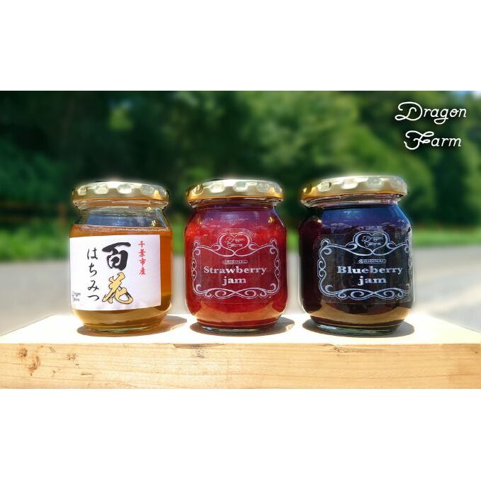 無添加　自家製ジャム　2種　＆　自家製ハチミツ フルーツ 果物 いちご ブルーベリー 急速冷凍 鮮度 風味 添加物 手作業 職人 こだわり ミツバチ 