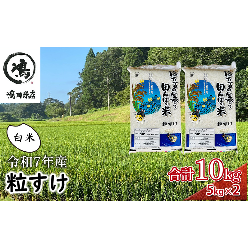 新米 令和7年  粒すけ 10kg ( 5kg×2  ) 千葉産 白米 【 お米 こめ コメ おこめ 】