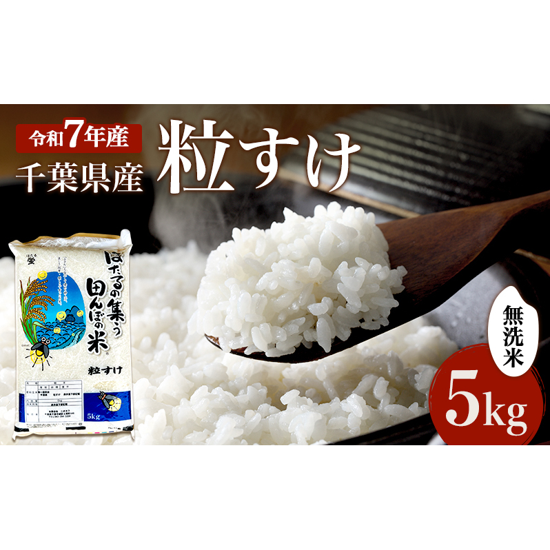 新米　令和7年 粒すけ 5kg 千葉産 乾式 無洗米　【 お米 こめ コメ おこめ 】 