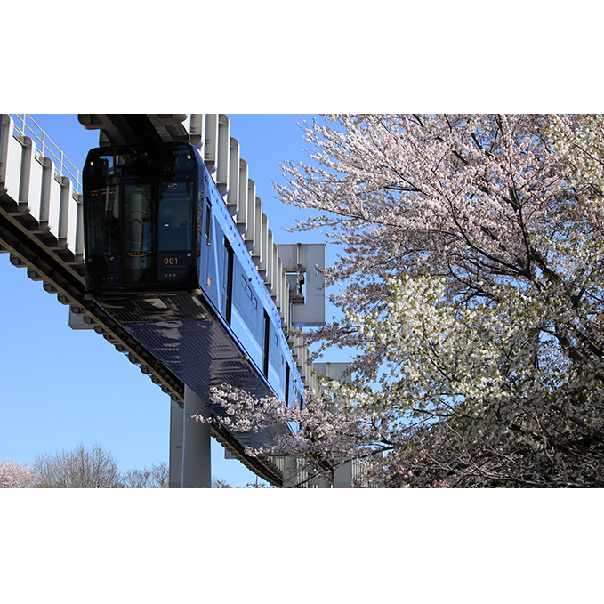 貸切列車(お手軽プラン)【 体験チケット 貸切列車 チケット モノレール 】