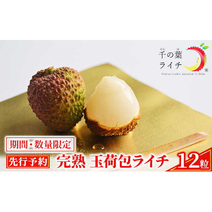 千の葉ライチ】の 完熟 玉荷包ライチ (先行予約)【果物 千の葉ライチ】の 完熟 玉荷包ライチ (先行予約)【果物