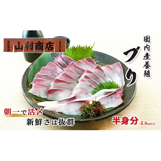千葉市場直送 朝一活〆!ブリ半身分(スキンレスロイン) 魚貝類 冷蔵 柵 新鮮 刺身 養殖ブリ ぶりしゃぶ 鮮度抜群 脂の旨味 つまみ 肴