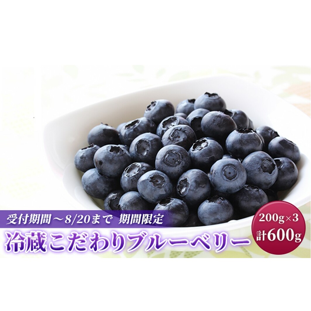猪野ナーセリーのこだわりブルーベリー 200g×3【フルーツ ご褒美 千ブランド 】 果物詰合せ 千葉県 600g