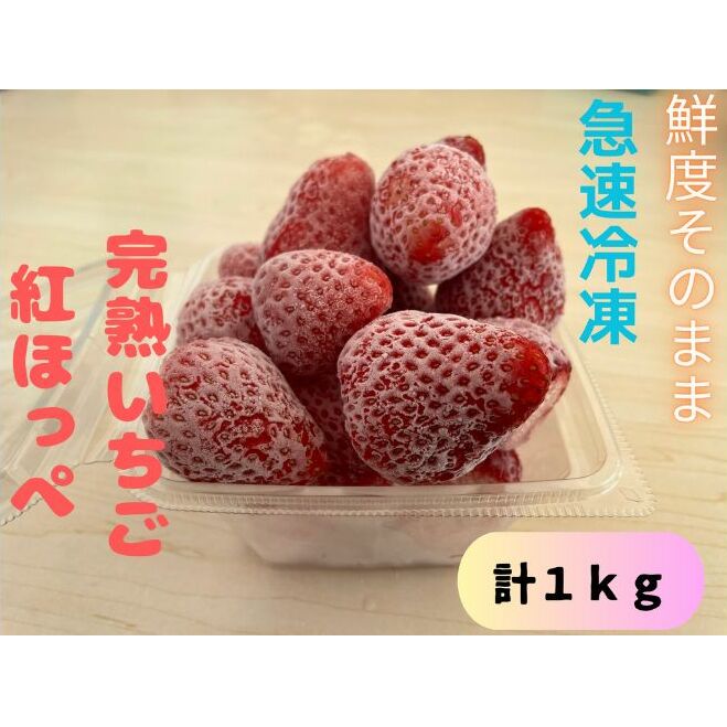 鮮度そのまま!!急速冷凍完熟いちご(紅ほっぺ)1kg ふぁいんファーム