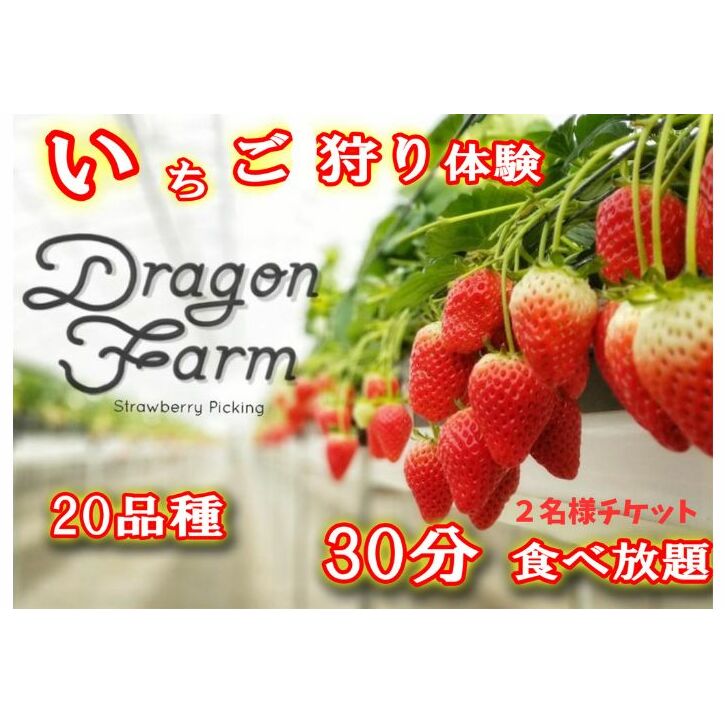 いちご狩り2名用チケット 体験チケット フルーツ狩り 親子 子連れ ファミリー 食べ比べ お出かけ 