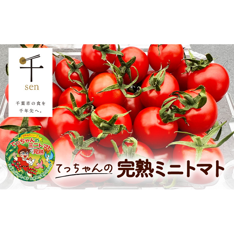 てっちゃんの完熟ミニトマト1kg採れたて農園直送 野菜 千 ブランド 酸味 甘味 美味しい プチトマト 子供 お弁当 お昼 サラダ 