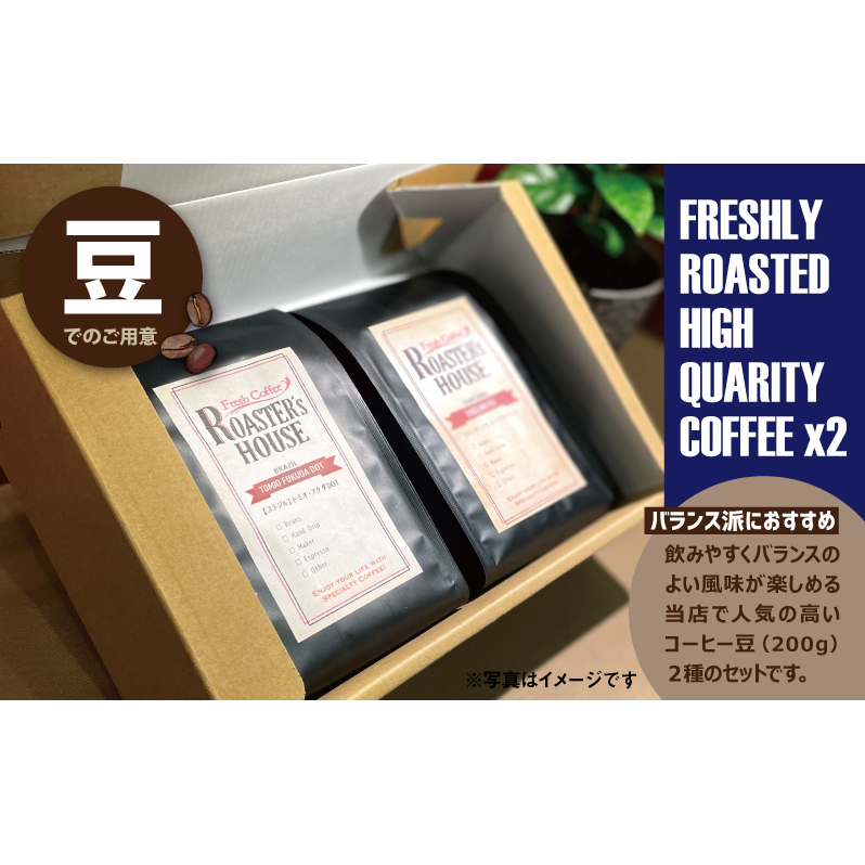 【バランス派におすすめ】ブラジル/トミオフクダDOT+グアテマラ/アンティグア・ジャスミン(豆)各200g コーヒー豆