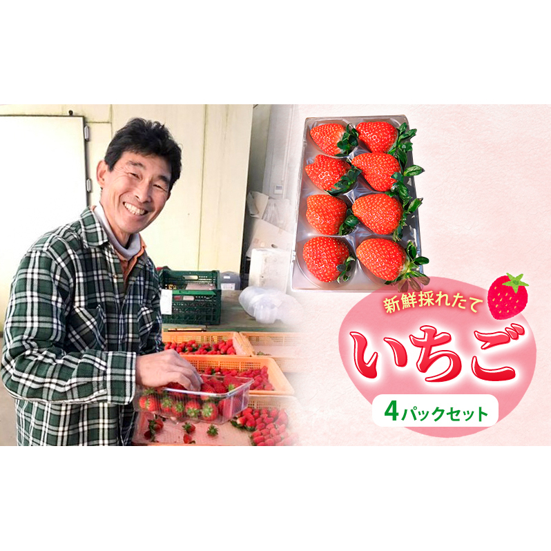 新鮮採れたて いちご 4パックセット 果物 フルーツ 食後 デザート おやつ ストロベリー 旬の果物