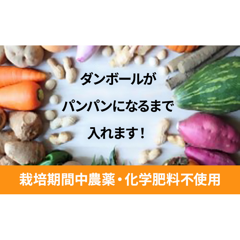 2~4名様向け/野菜6種に加工品をプラス 野菜セット 野菜詰合せ 産地直送 旬の野菜 農園直送 食べ物 食品 グルメ 食卓 ベジタブル 国産 日本産 国産野菜