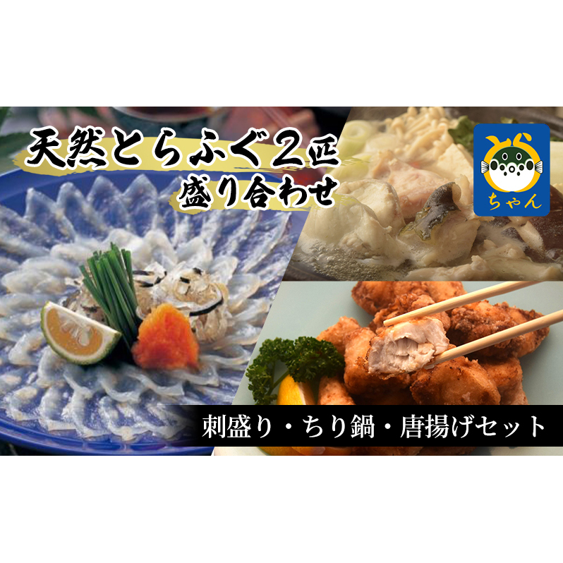 【千葉県産】天然とらふぐ2匹盛り合わせ　刺盛り・ちり鍋・唐揚げセット 魚貝類 フグ 
