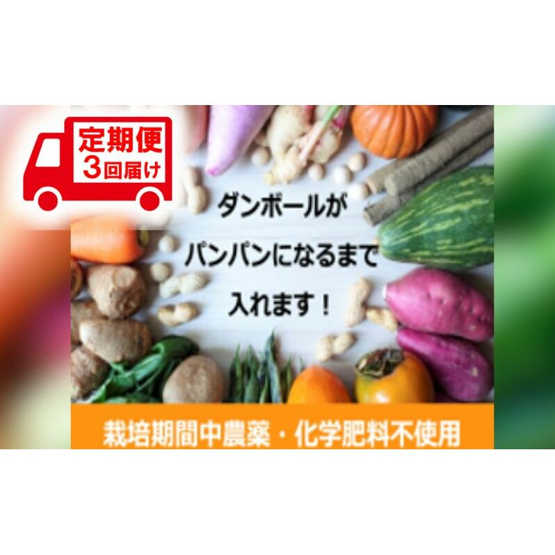 野菜 定期便 3ヶ月 2~4名様向け 旬の野菜 7種 セット 生野菜 やさい 新鮮 鮮度 産地直送 詰め合わせ 冷蔵 千葉 定期 お楽しみ 3回