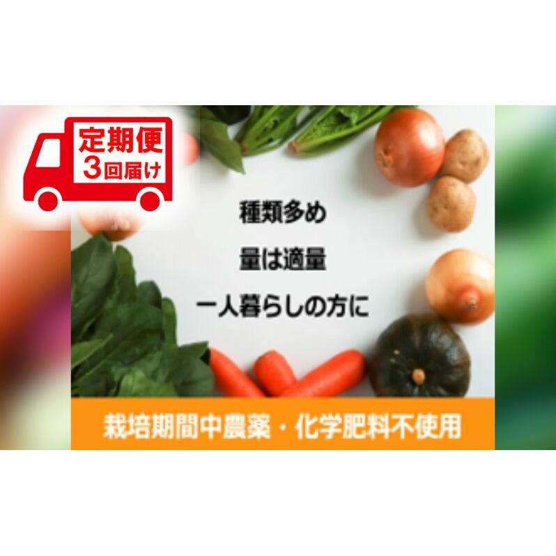 野菜 定期便 3ヶ月 1名様向け 野菜5種 セット 旬の野菜 生野菜 やさい 新鮮 鮮度 産地直送 詰め合わせ 冷蔵 千葉 定期 お楽しみ 3回