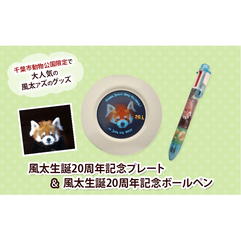 風太生誕20周年記念プレート＆風太生誕20周年記念ボールペン ボールペン プレート 風太 風太ァズ レッサーパンダ グッズ オリジナルグッズ 20周年記念 千葉市動物公園 千葉県