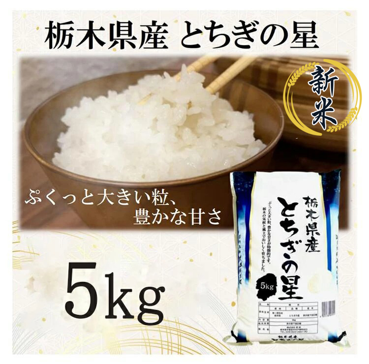 [令和7年産]栃木県産とちぎの星 (精米)5kg×1袋 | お米 白米 一等米 送料無料 栃木県 宇都宮市 ※離島への配送不可