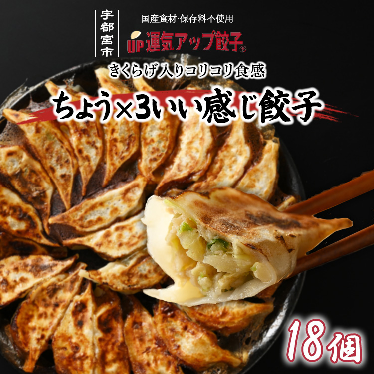 宇都宮餃子 運気アップ餃子  ちょう×3いい感じ餃子 18個 保存料不使用【 餃子 ぎょうざ 冷凍餃子 冷凍食品 惣菜 栃木県 宇都宮市 】※配送不可地域:離島