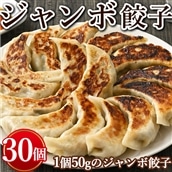 ジャンボ餃子　30個入り ※着日指定不可