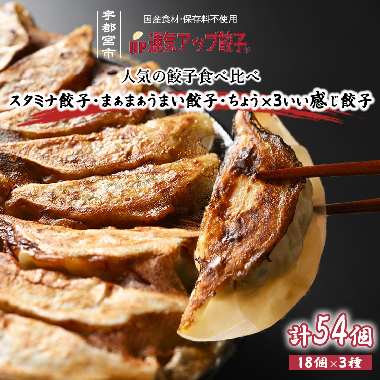 宇都宮餃子 運気アップ餃子  豚餃子 3種類(合計54個)【 餃子 食べ比べセット 冷凍餃子 冷凍食品 惣菜 栃木県 宇都宮市 】※配送不可地域:離島