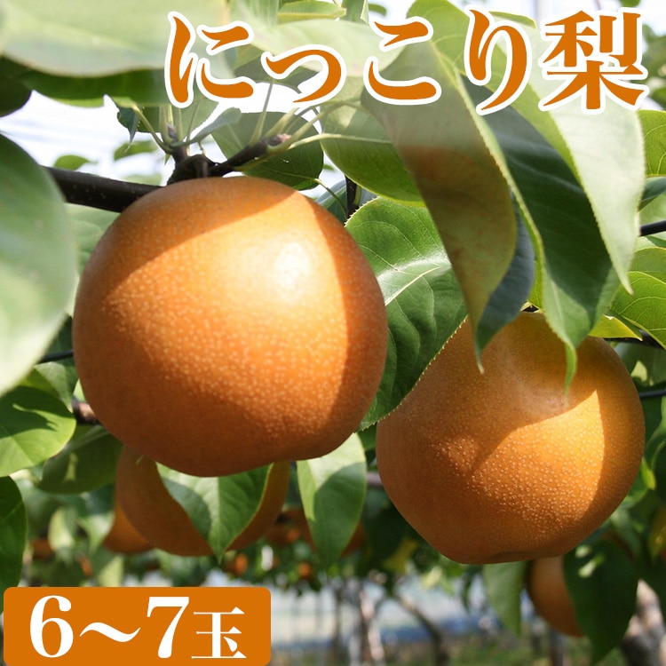 【先行予約】【産地直送】にっこり梨（6玉～7玉） ※離島への配送不可 ※2024年10月上旬～10月下旬頃に順次発送予定