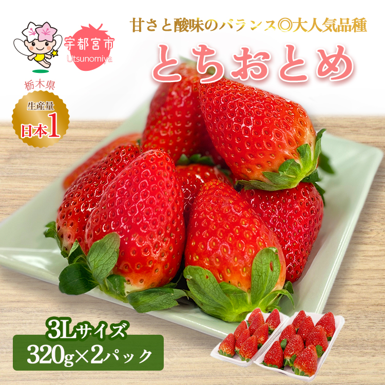 [先行予約]とちおとめ320g×2パック 3Lサイズ | いちご 苺 イチゴ フルーツ 果物 国産 新鮮 甘い 糖度 旬 フルーツ 果物 アレンジ スイーツ いちごジャム フルーツサンド ※離島への配送不可 ※2026年1月中旬〜4月中旬頃に順次発送予定