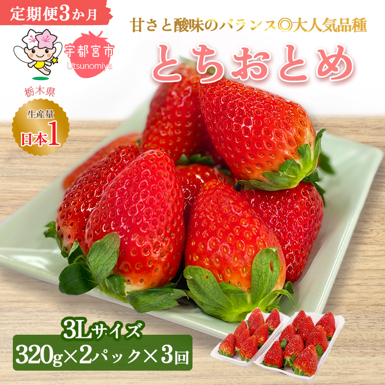 【先行予約】<いちご3か月定期便>栃木県産とちおとめ320g×2パック 3Lサイズ 3回|栃木県 宇都宮市 いちご 苺 とちおとめ イチゴ フルーツ 果物 新鮮 平積み 甘い 糖度 旬 産地直送 2026年1月 2月 3月 ※離島への配送不可 ※2026年1月中旬~4月中旬頃に順次発送予定