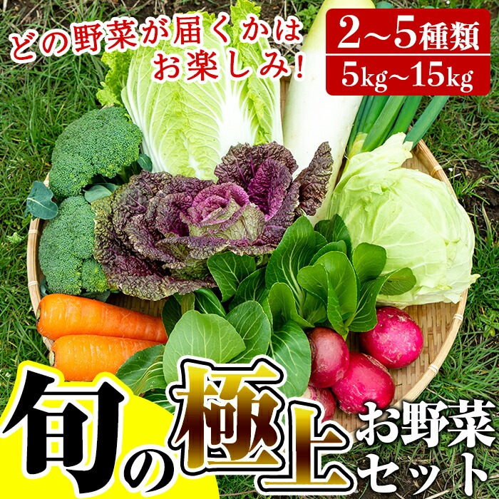 A-091 「極野菜」旬の極上お野菜セット【百姓道有元農場】