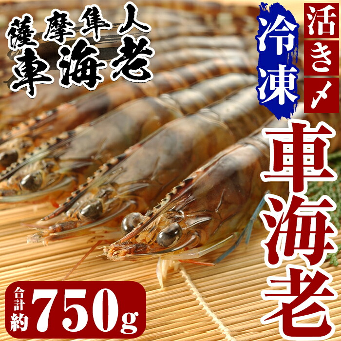 D-004 活き〆冷凍車海老「薩摩隼人車海老」6パック【MBC開発】