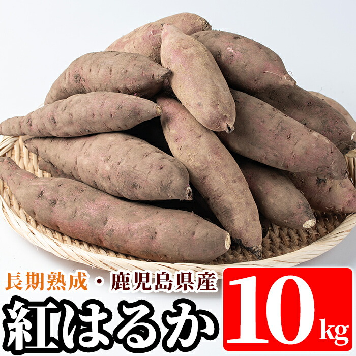 A2-012 鹿児島県産＜紅はるか＞土付き(10kg)【フレッシュジャパン鹿児島】