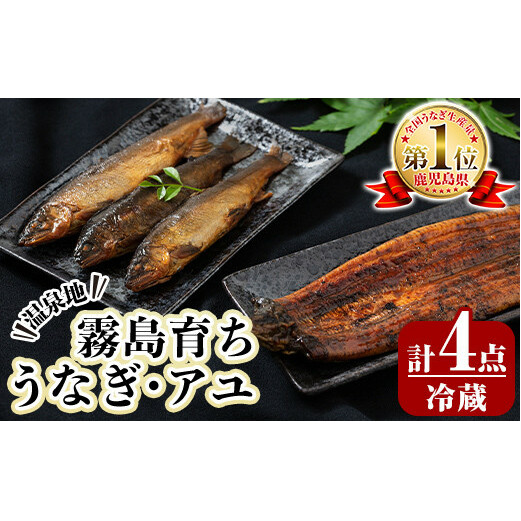 B0-160 数量限定!霧島市育ちのあの「うなぎ」と霧島アユ子持ち甘露煮詰め合わせ(計4点)【田代水産】