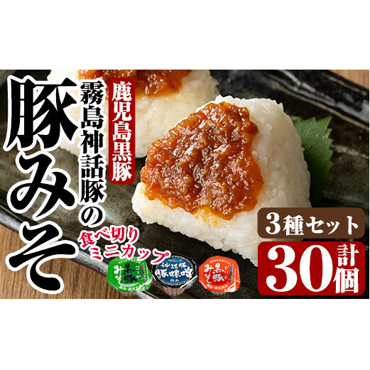 Z6-012-S 霧島神話豚の豚みそ!合計30個(豚味噌10個・ピリ辛味10個・ゴーヤ味10個)【富士食品】霧島市 豚肉 豚味噌 ミソ 味噌 ご飯のお供 調味料 おかず 小分け 和風 惣菜 お弁当