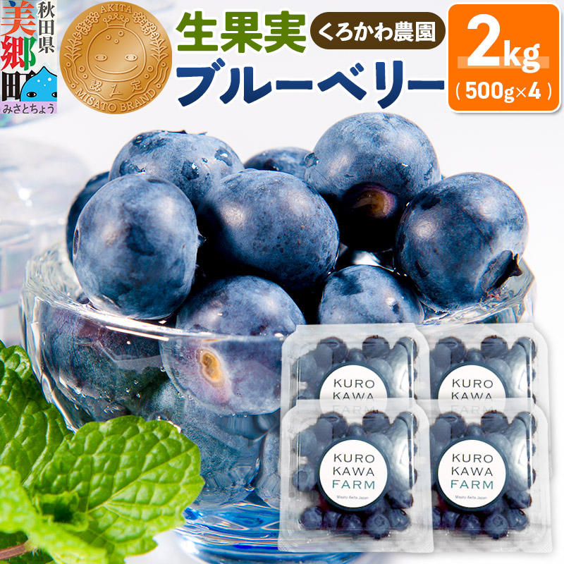 くろかわ農園 ブルーベリー 2kg（500g×4パック）