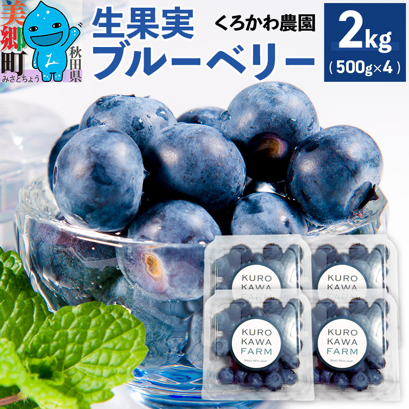 くろかわ農園 ブルーベリー 2kg(500g×4パック)