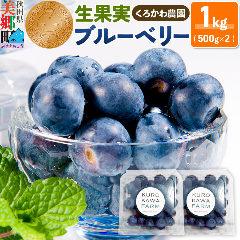 くろかわ農園 ブルーベリー 1kg（500g×2パック）