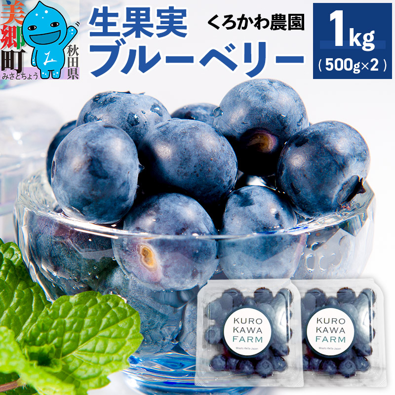 くろかわ農園 ブルーベリー 1kg(500g×2パック)