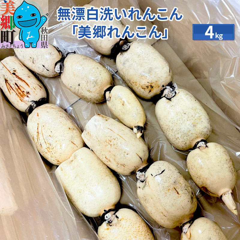 無漂白洗いれんこん「美郷れんこん」4kg