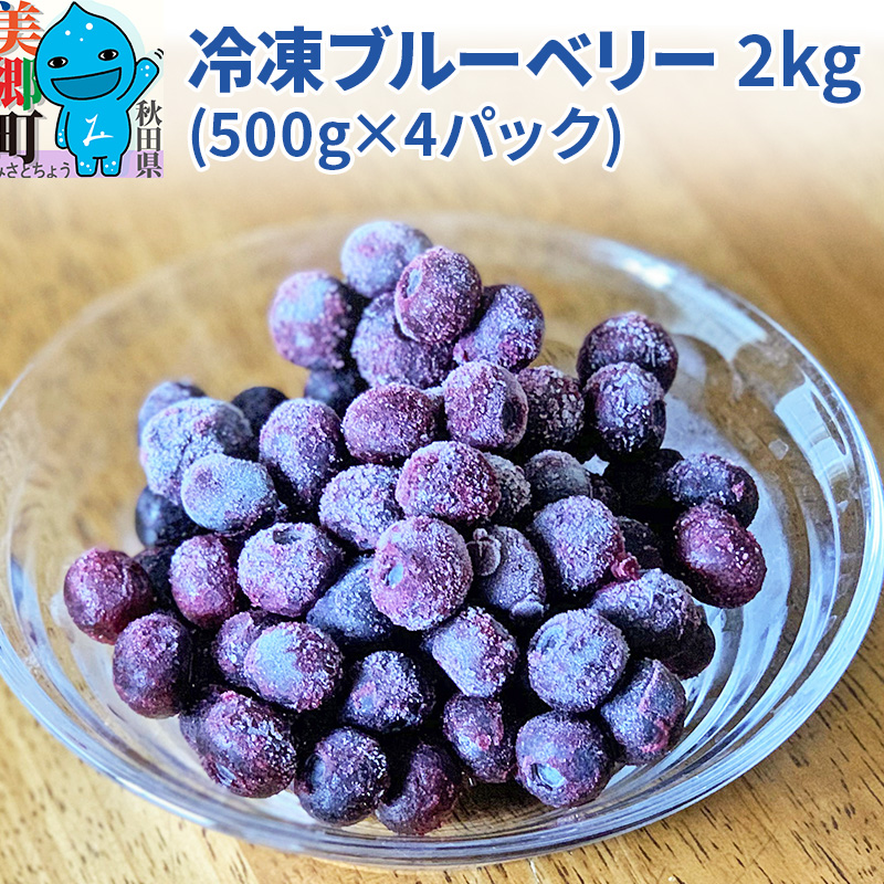 くろかわ農園 冷凍ブルーベリー 2kg（500g×4パック） | 秋田県
