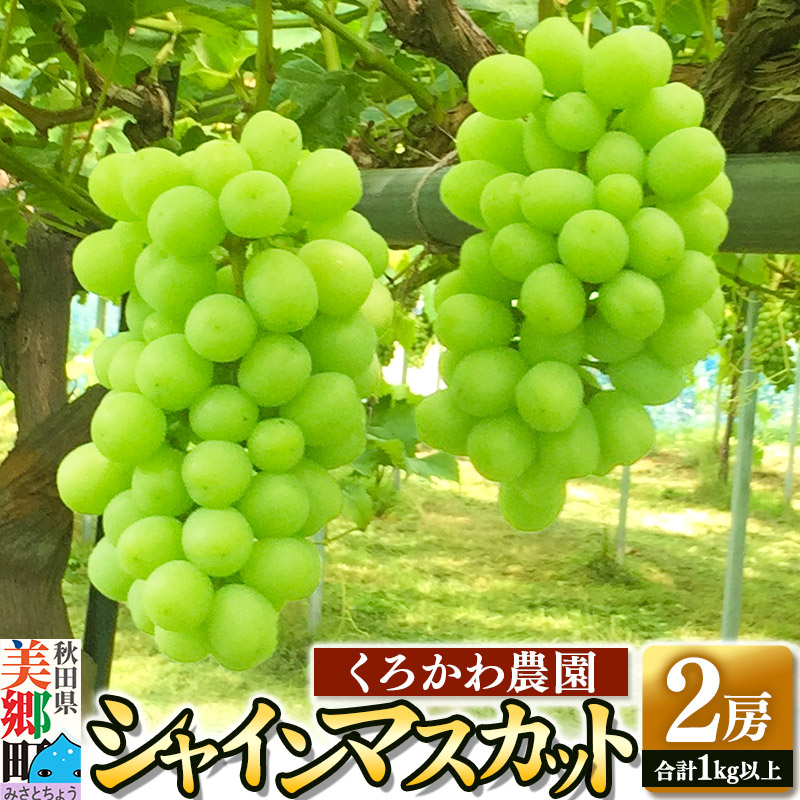 【期間限定】シャインマスカット 2房(合計1kg以上) 9月下旬よりお届け