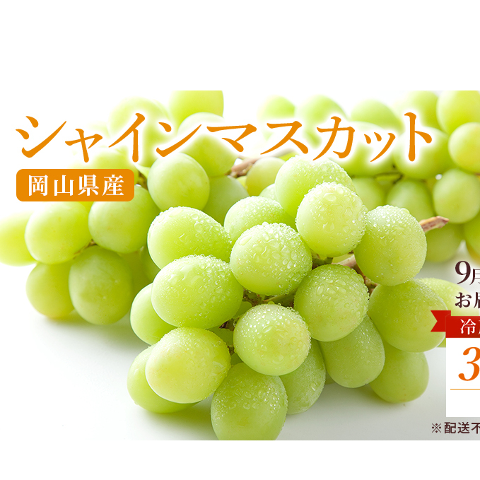 ぶどう 2025年 先行予約 ご家庭用 シャイン マスカット 約2kg 糖度抜群！ 【9月上旬～順次発送分】 ブドウ 葡萄  岡山県産 国産 フルーツ 果物 果物類 