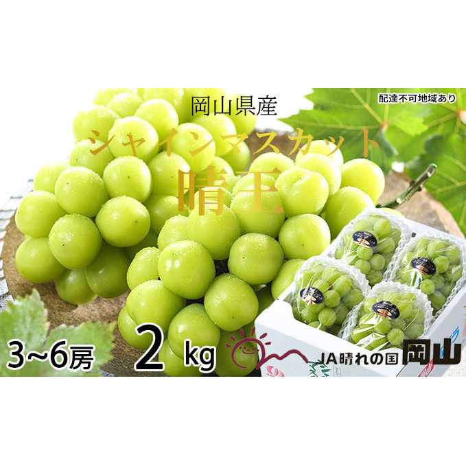 ぶどう 2025年 先行予約 シャイン マスカット 晴王 3房~6房 約2kg ブドウ 葡萄  岡山県産 国産 フルーツ 果物 ギフト 果物類